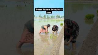 ￼ chala Dhan Rupane#trending #viralvideo #shorts #reels @Lovecouple4455