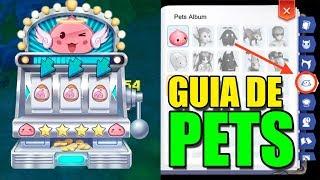 GUIA DE PETS - CAPTURAR, EXPEDIÇÃO E PET LABOR