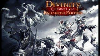 Divinity Original Sin Enhanced Edition (часть 6)