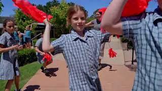 Dance Video 2024