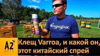 Убить клеща #варроа и не убиться самому: тест китайского спрея