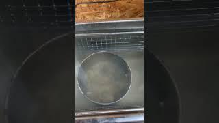 First run of the Harbor Freight 6 Liter Ultrasonic Machine