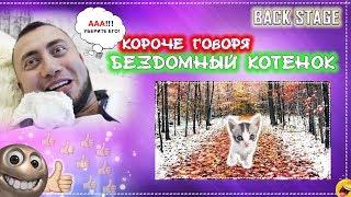 КОРОЧЕ ГОВОРЯ, Я БЕЗДОМНЫЙ КОТЕНОК [От первого лица] История одной жизни. Как снимали сериал