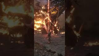Lore accurate Wukong