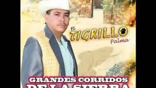 pa mi carnal pedro gallardo