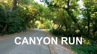 Virtual Running Jogging Scenery For Treadmill | 15 Minute Canyon Run