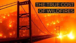 The True Cost of Wildfires