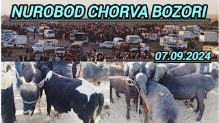 SAMARQAND V NUROBOD SHAHRI CHORVA BOZORIDAN NARXLAR 07.09.24 ELYOR UZ  901998090