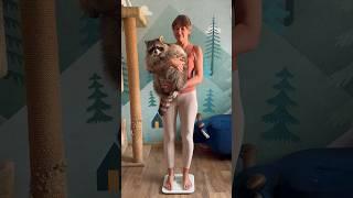 Взвесила енота Тёму Это много или мало? #shotrs #animals #енот #животные #raccoon