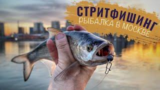 Рыбалка ДЛЯ КАЖДОГО На Москве Реке