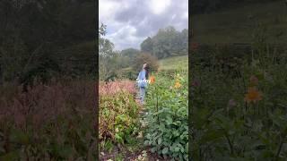The perfect day | Abigail Rose #indieartist #singersongwriter #newmusic #newmusic #pottery