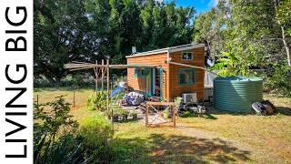 7 Years Living Off-Grid in Their DIY Tiny Homestead! - Revisited!