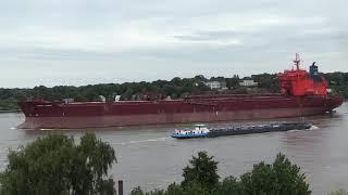 Shipspotting Departure of Self-Discharging Bulk Carrier YEOMAN BRIDGE from Hamburg on Aug 6, 2023