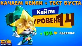 КАЧАЕМ КОАЛУ КЕЙЛИ НА 14 УРОВЕНЬ + БУСТ СКОРОСТИ В ИГРЕ ZOOBA