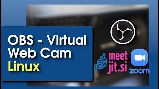 OBS Virtual Cam for Linux