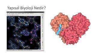 Yapısal Biyoloji 101| Yapısal Biyoloji Laboratuvarı'nda Neler Yapılıyor?