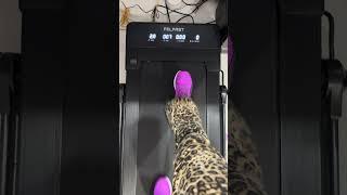 Stay Fit While Working From Home | Mom Life Hack
