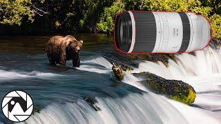 Watch this before buying the Canon RF 100-500 L lens!