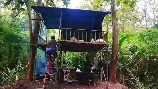 camping membangun pondok panggung di hutan belantara#survival