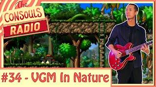 Video Game Music in Nature - Consouls Radio #34 (Set 2/2)