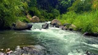 Mountain River Waterfall Sounds for Meditation & Sleep | Nature White Noise Ambient