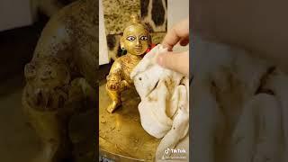 Abhiyang snaan of laddu gopal ji @morbhaktibhajan  @sakshi shyama Dasi #shorts
