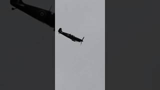 Spitfire