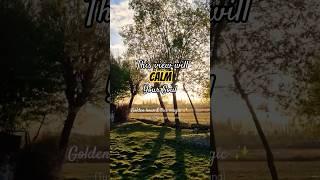This View Will Calm Your Soul ️ | Golden Hour ASMR  |  Soothing Nature Sounds | Therapy | #shorts