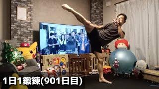 1日1鍛錬(901日目)体幹トレーニング、突きと蹴り 2024/12/27