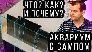 Мои новые аквариумы, аквариум с сампом, разведение и содержание дафнии, тетраселмиса!