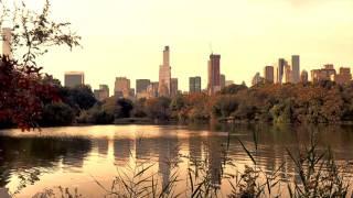 An Original Napflix Video Content - Central Park