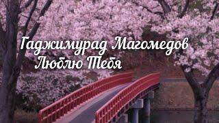 Гаджимурад Магомедов-Люблю тебя.