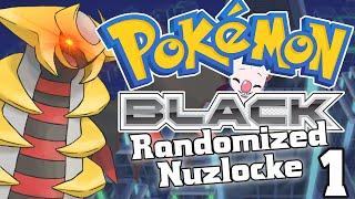 Rpg Monger Streams - Pokemon Black Randomized Nuzlocke (Part 1)