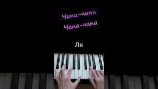 Чипи-чипи чапа-чапа #piano #music #чипичипи #чипичипи пианино #чипичапа #чипичипичапачапа пианино