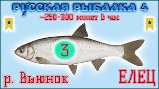 РР4 ВЬЮНОК ЕЛЕЦ ТРОФЕЙ / РУССКАЯ РЫБАЛКА 4 ВЬЮНОК ТРОФЕЙНЫЙ ЕЛЕЦ / RUSSIAN FISHING 4 DACE TROPHY