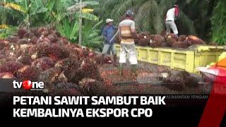 Pemerintah Buka Ekspor CPO | Kabar Petang Pilihan tvOne