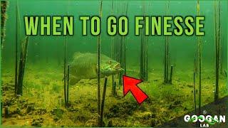 WHEN TO DOWNSIZE LURES and GO FINESSE! ( BASS FISHING TIPS )