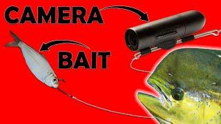 Camera on my Fishing Line! - MAHI EVERYWHERE - Catch, Clean, Cook