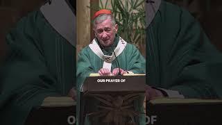 Cardinal Blase Cupich- "Fears are a Fantasy"