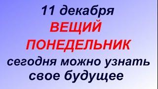 11 декабря народный праздник Сойкин день. Что делать нельзя. Народные приметы и традиции.