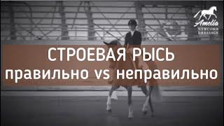 Строевая рысь. Правильно vs неправильно