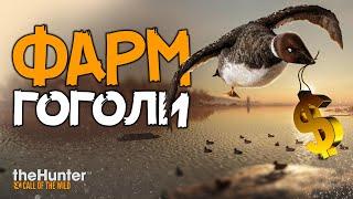 TheHunter: Call of the Wild - Фарм - Прокачка - Гоголи - Берег ревонтули