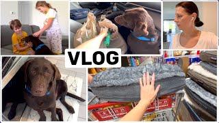 США Влог У Меня новый соведущий! Семейный Влог Большая семья Big big family in the USA VLOG