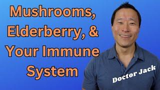 Mushrooms (Reishi, Chaga, Turkey Tail), Elderberry, and Your Immune System. Doctor Jack