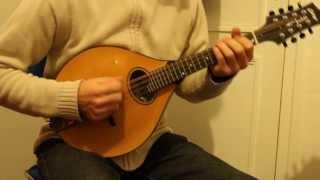 Irish mandolin lessons. Mother's delight (reel)