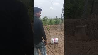 big russell viper snake//#discovery #comedy #highlight #song #cobra #news #love #new