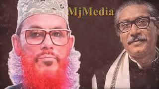 Allama Delwar Hossain Saidi / বঙ্গবন্ধুকে নিয়ে চরম হাসির ওয়াজ | আল্লামা সাঈদী |