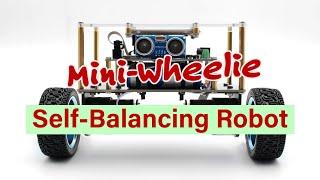 Elektor Mini Wheelie Self Balancing Robot Demo