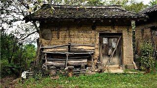 Due to parents' objection, the couple went to the forest renovated the old house survival