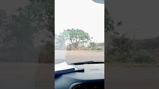 Vijay Krishna driving  #new #munda #adivasi #ho #adivasi #viral #vijaykrishanproduction #youtube